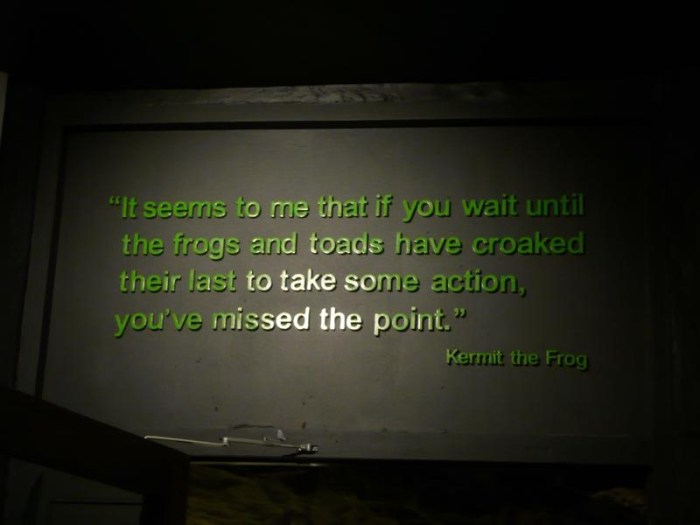 Photo by F. Bonocorrso