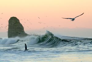 6a00e54f11417288340120a524c354970c-300wi