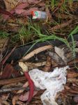 coastal cleanup 005 Some of the trash I left at the beach