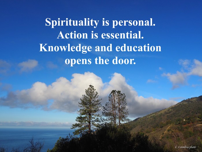 Big Sur PInes &amp; Clouds w/sig