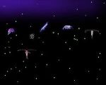 plankton_collage
