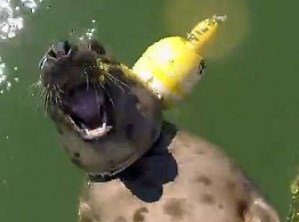 Photo courtesy of IAFW