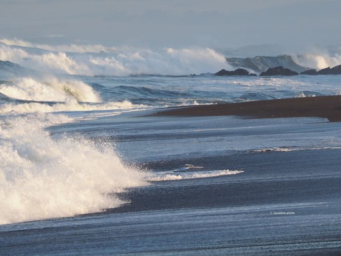 When and where does ocean water flow into the Bay? What kind of water is it, chemically? And how far into the Bay does this water go?