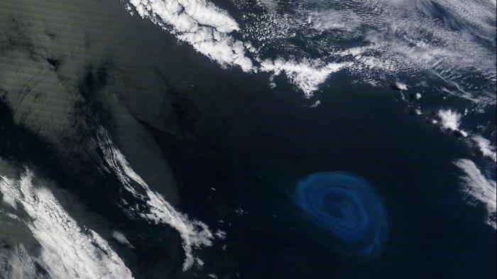 The recently discovered dead zones in the Atlantic form in eddies, similar to the one above, shown in blue in the bottom-right corner. (NASA Earth Observatory)  