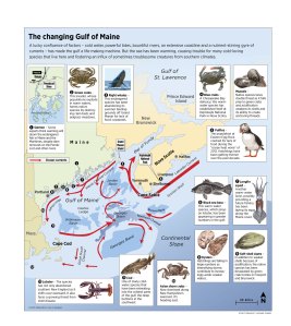 250332-GulfOfMaine1015-2