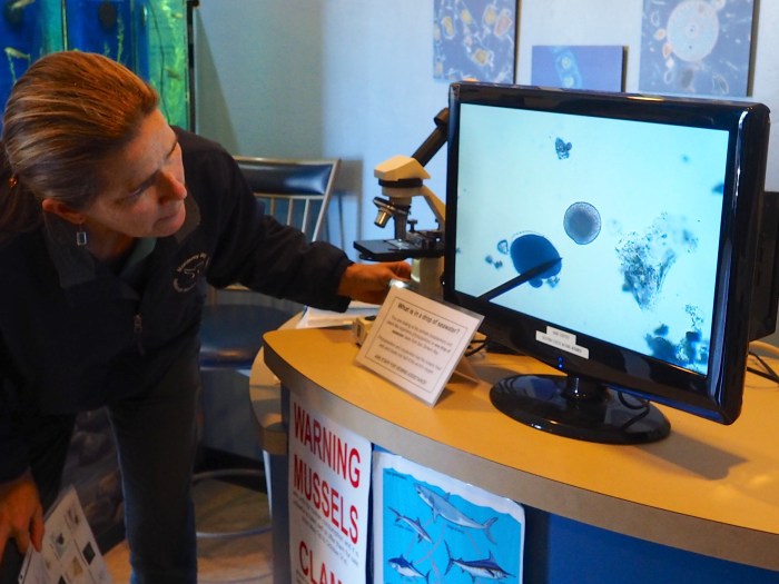 Skinder points out plankton