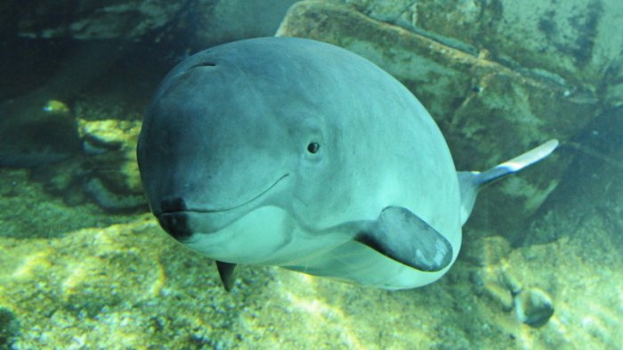 dgJSwUwpErKkuqC-800x450-noPad